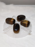 Selenite Plates