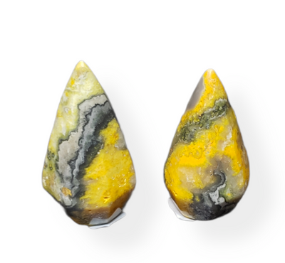 Bumble Bee Jasper Pendulum Points